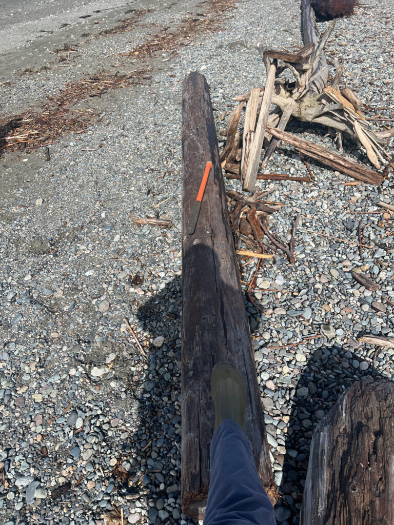 a person's foot on a wooden plank on a rocky beach (MyCoast AI)