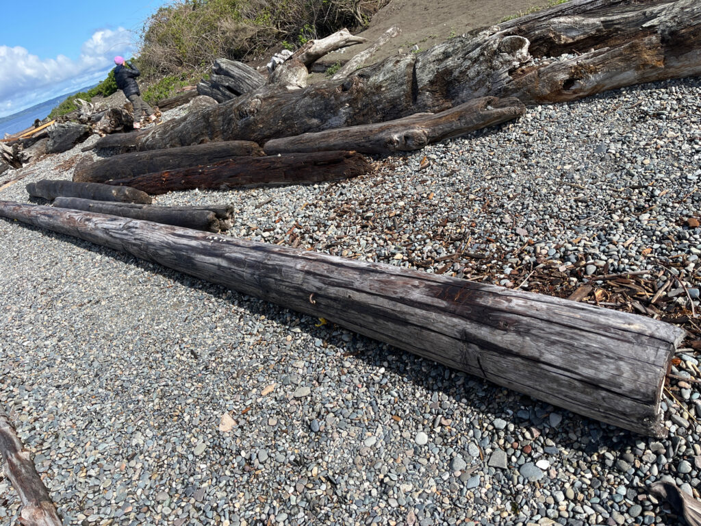 a person walking on a rocky path (MyCoast AI)