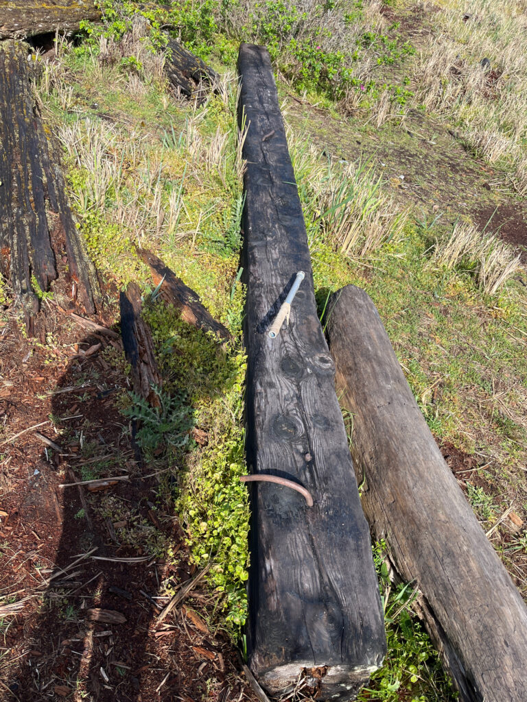 a wooden fence in a grassy area (MyCoast AI)