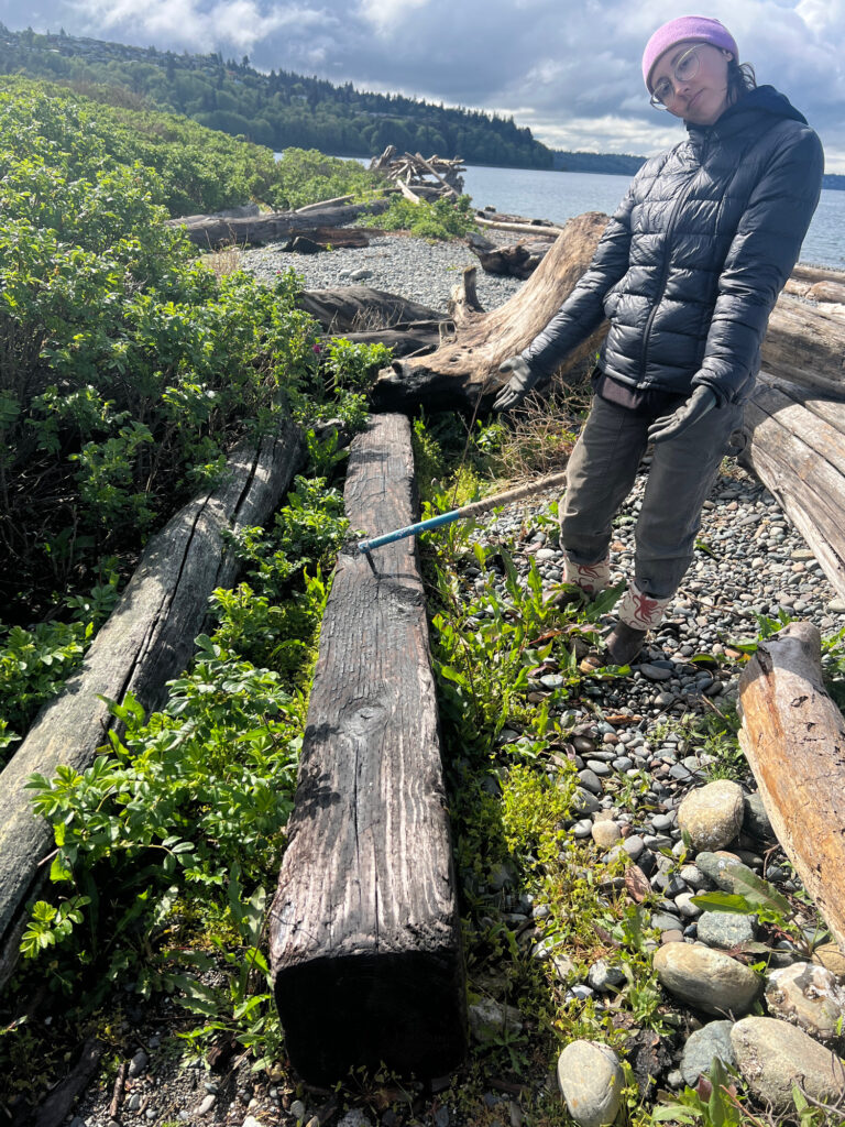 a man standing on a log (MyCoast AI)