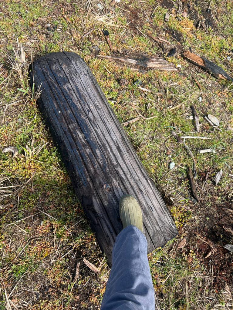 a person's leg and foot (MyCoast AI)