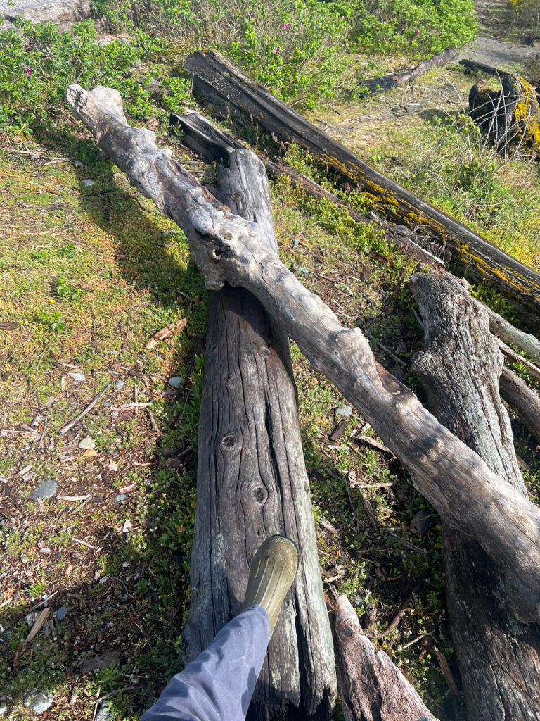a person's hand holding a tree stump (MyCoast AI)