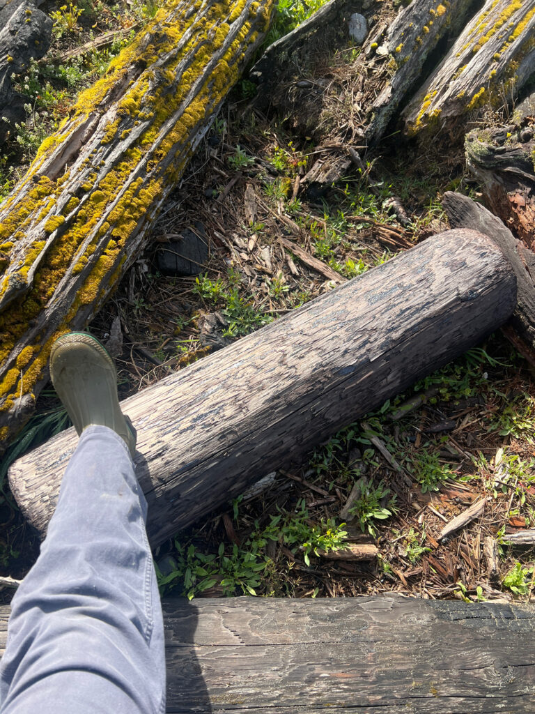 a person's foot on a log (MyCoast AI)