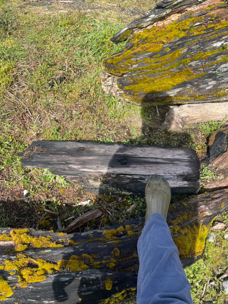 a person's foot on a wooden bench in a park (MyCoast AI)