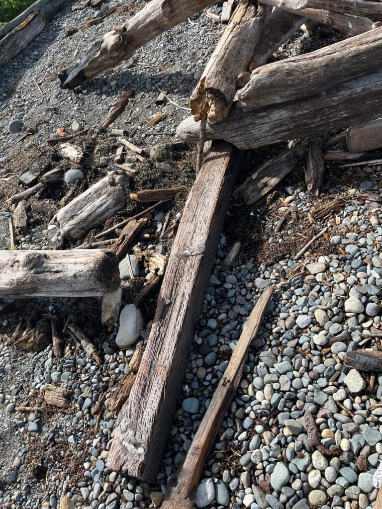 a pile of wood and rocks (MyCoast AI)