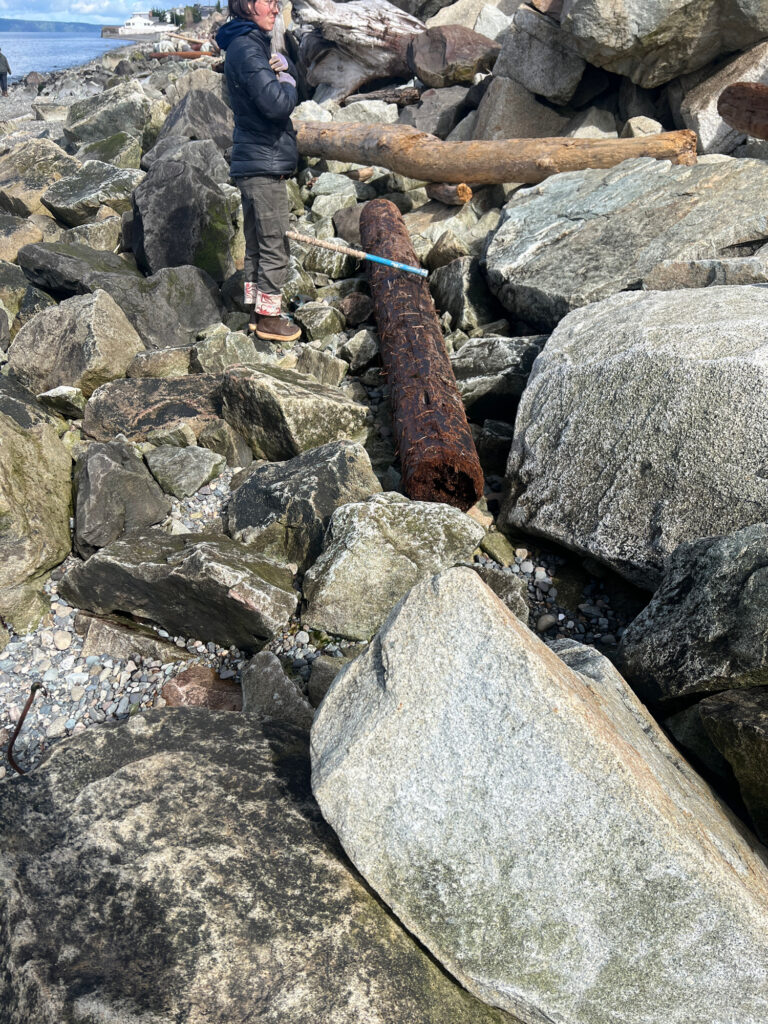 a person standing on a rocky beach (MyCoast AI)