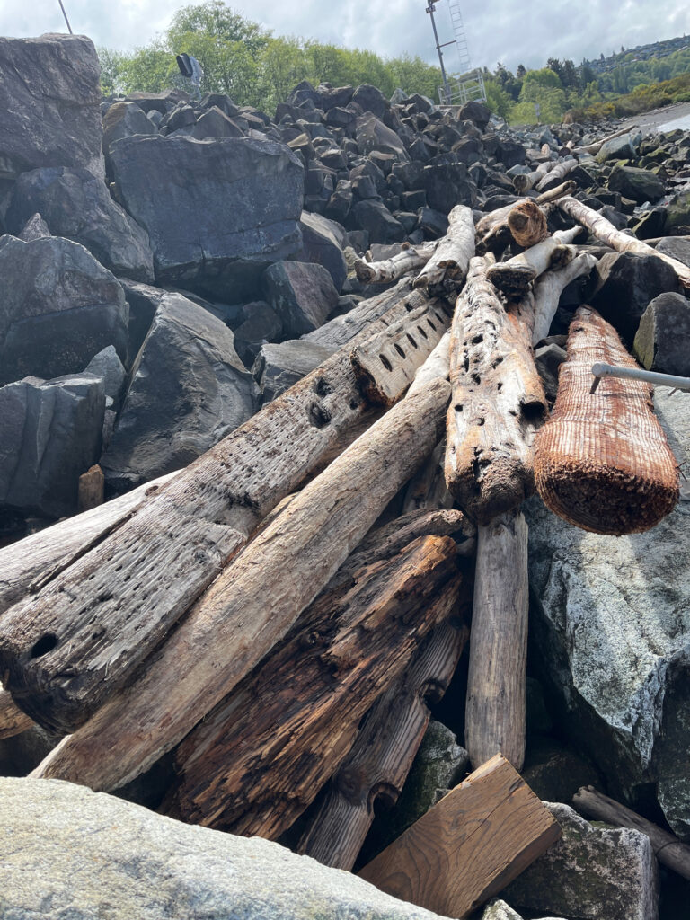 a pile of logs (MyCoast AI)