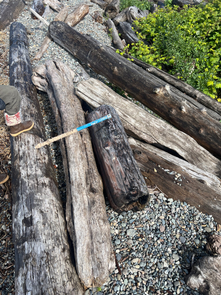 a person standing next to a wooden fence (MyCoast AI)