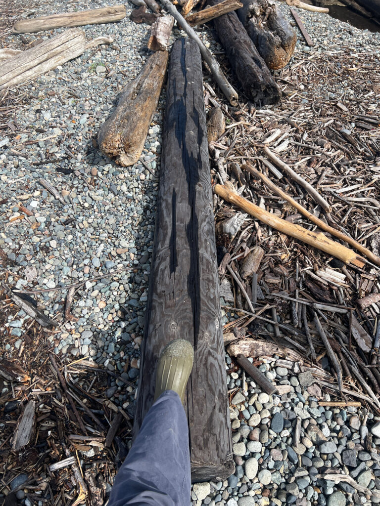 a person's foot on a log (MyCoast AI)