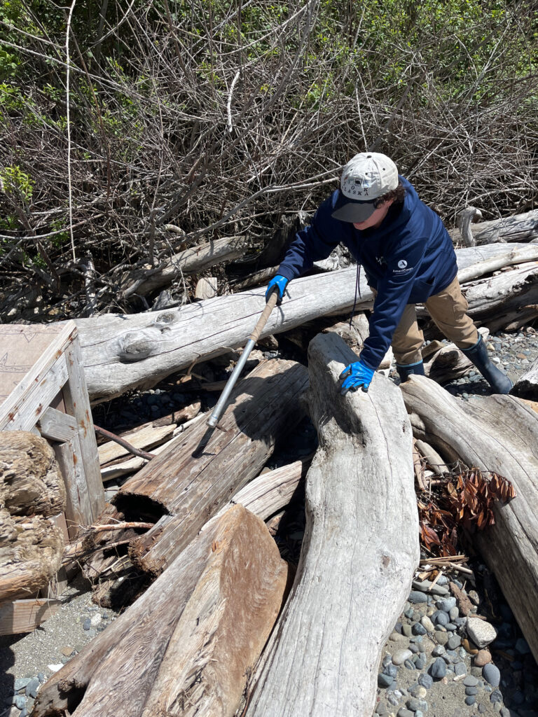 a man cutting down a tree (MyCoast AI)
