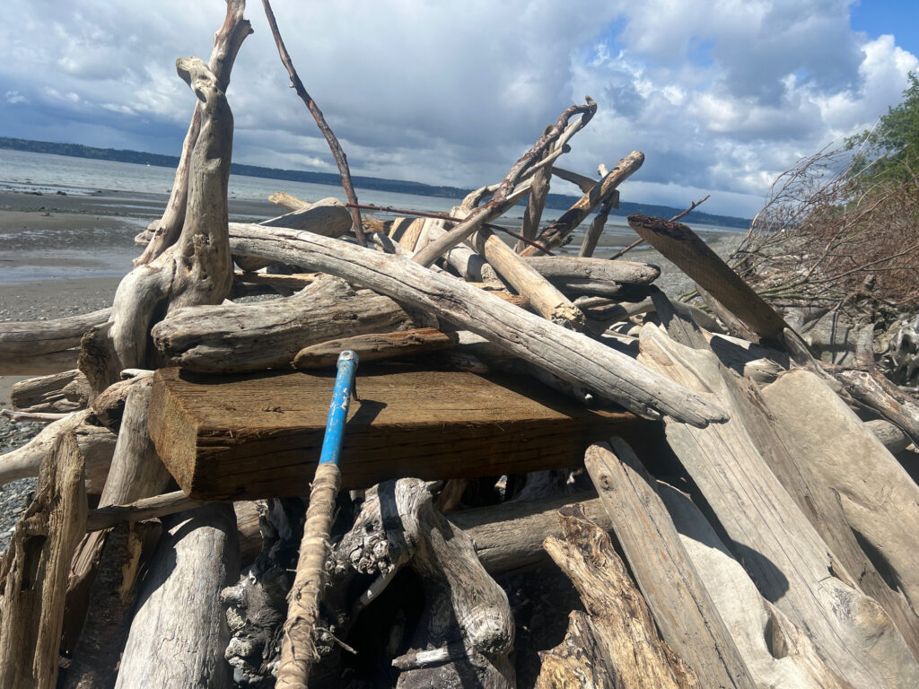 a group of logs on a beach (MyCoast AI)