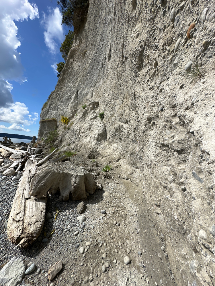 a large rock cliff (MyCoast AI)