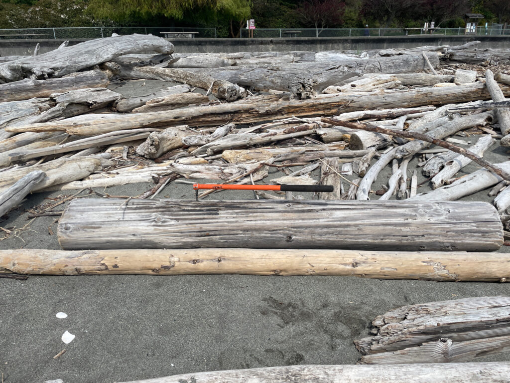 a pile of wood (MyCoast AI)