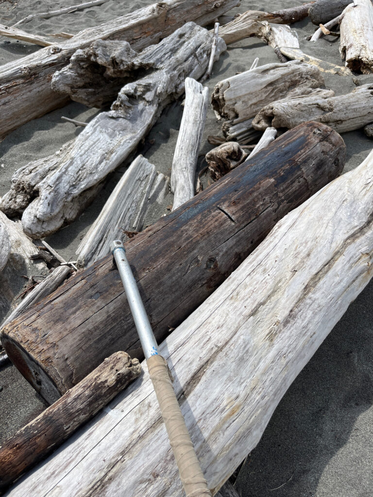 a group of logs (MyCoast AI)