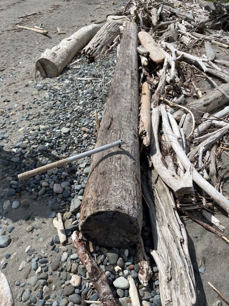 a tree trunk on a rocky ground (MyCoast AI)