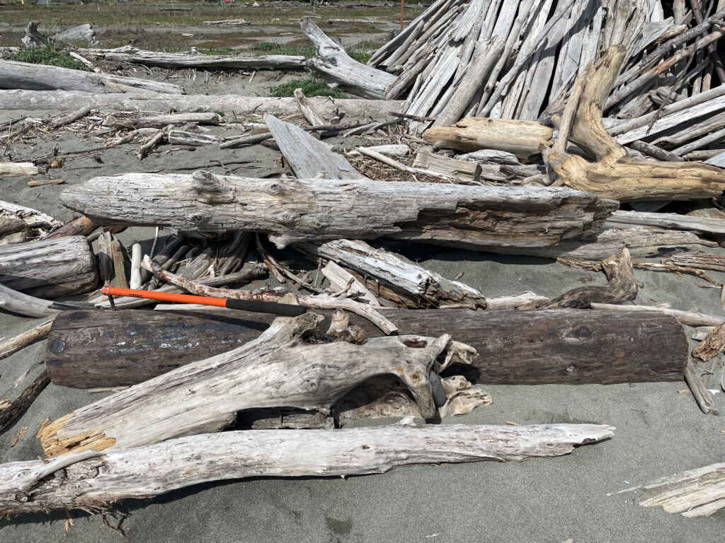 a pile of cut down trees (MyCoast AI)