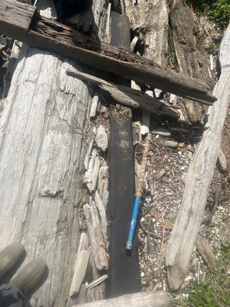 a blue toothbrush in a wooden box (MyCoast AI)
