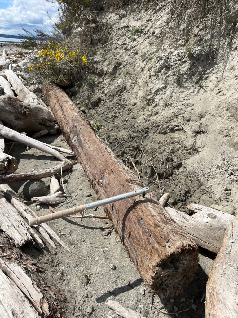 a pipe in the ground (MyCoast AI)