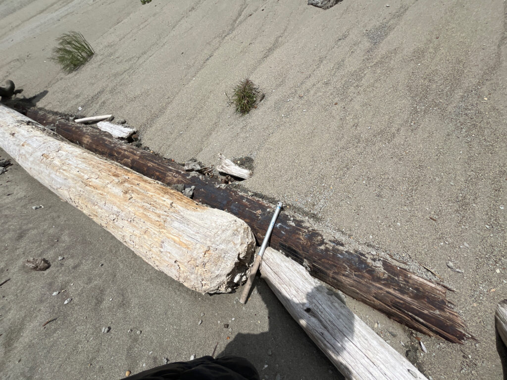 a broken wooden fence (MyCoast AI)