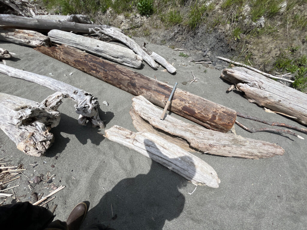 a group of logs and a person's feet (MyCoast AI)
