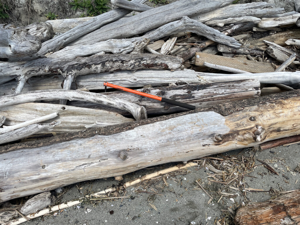 a pile of cut down trees (MyCoast AI)