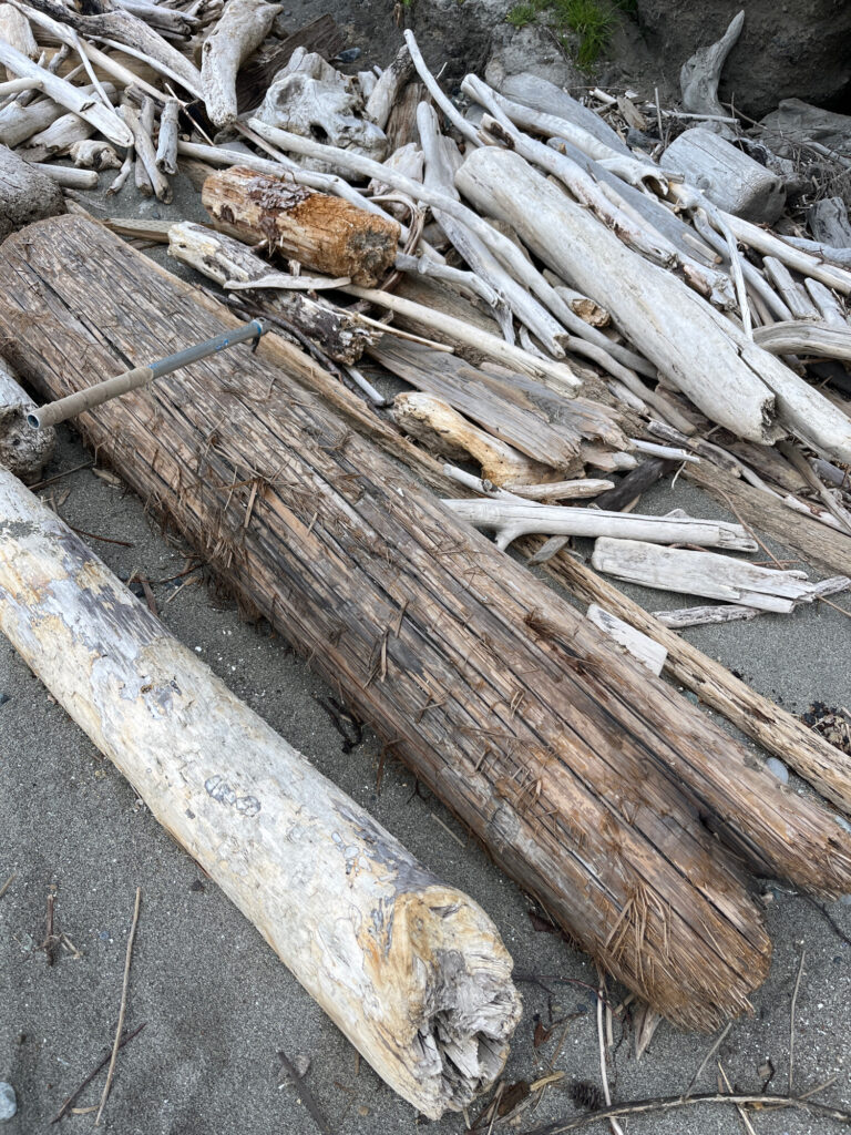 a pile of cut wood (MyCoast AI)