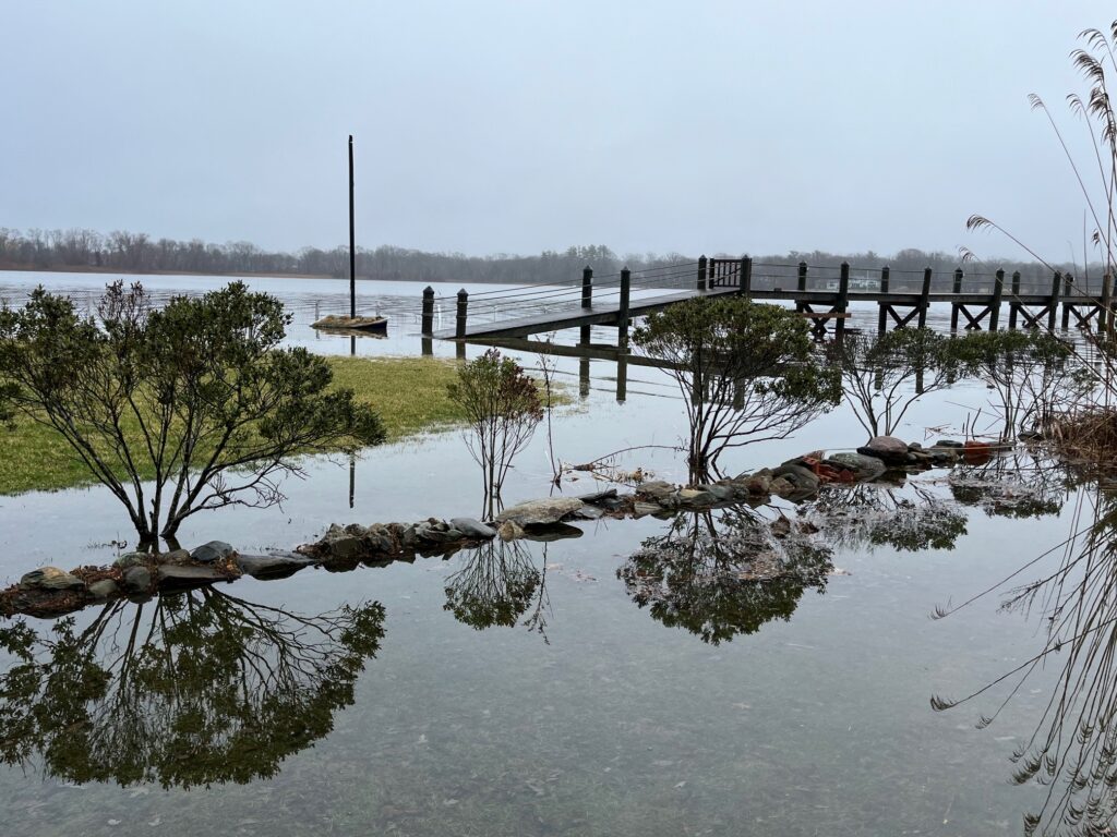 a body of water with a dock and trees in it (MyCoast AI)