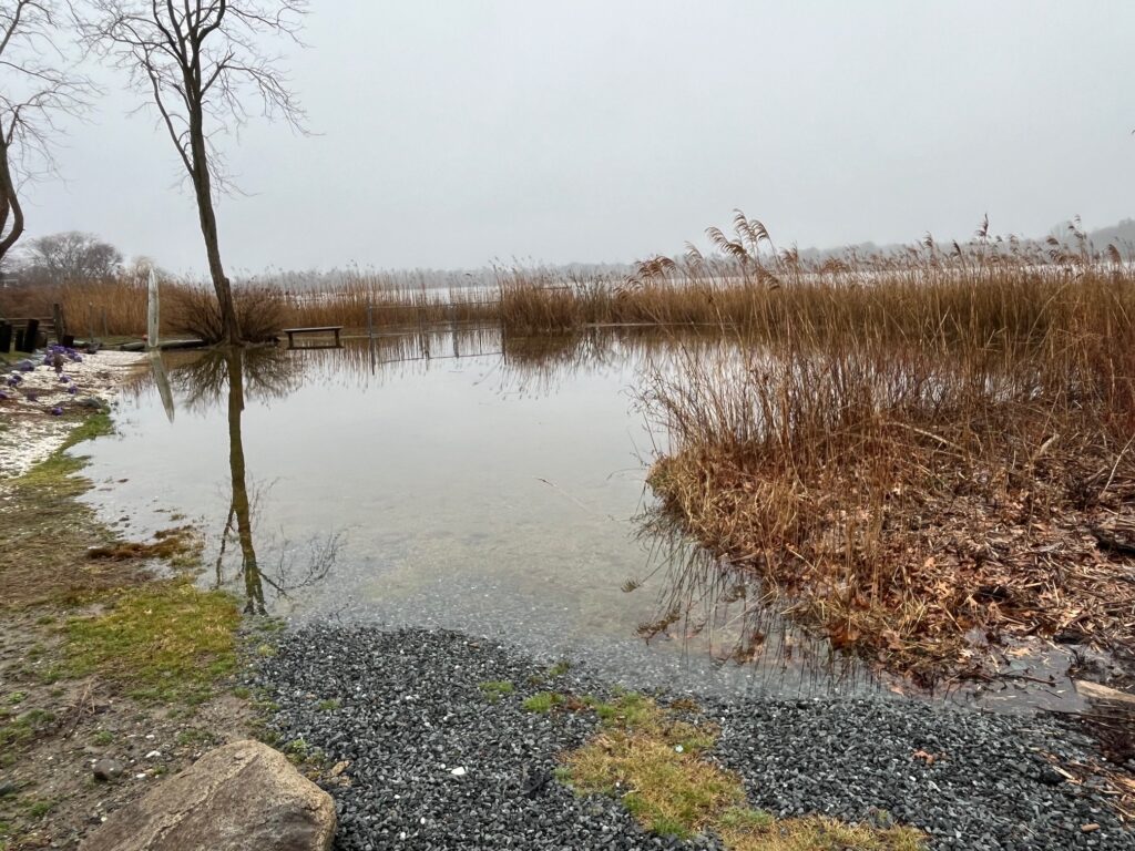 a small pond with grass and trees (MyCoast AI)