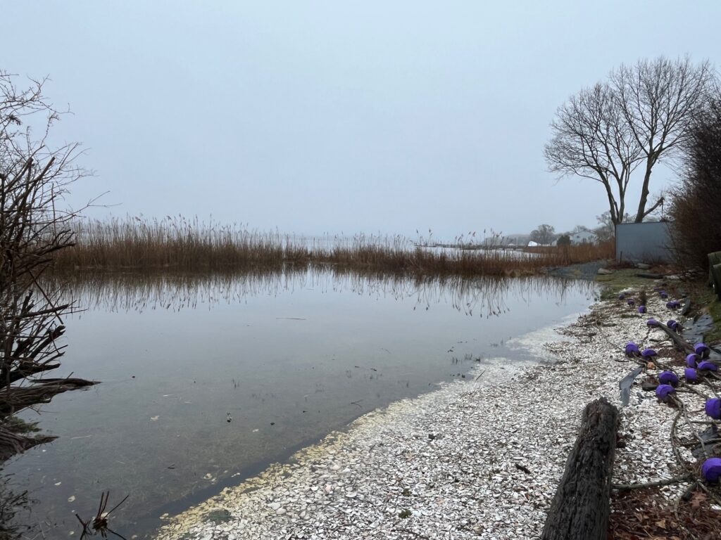 a body of water with snow and trees around it (MyCoast AI)