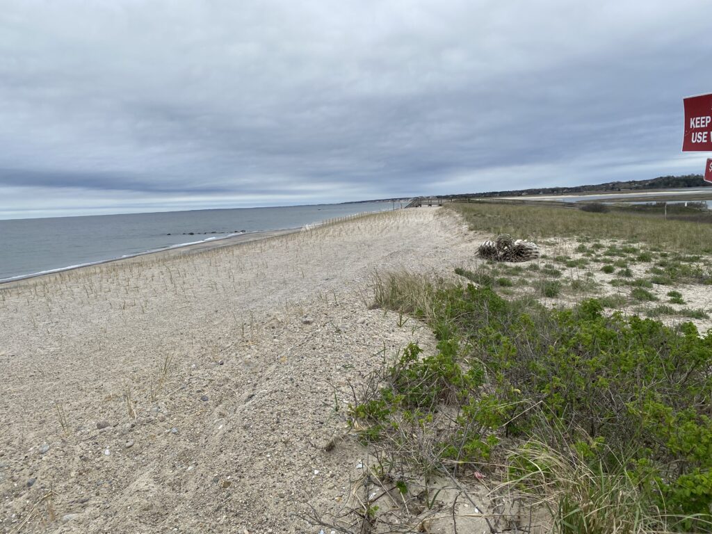 a sandy beach with bushes and a body of water in the background (MyCoast AI)