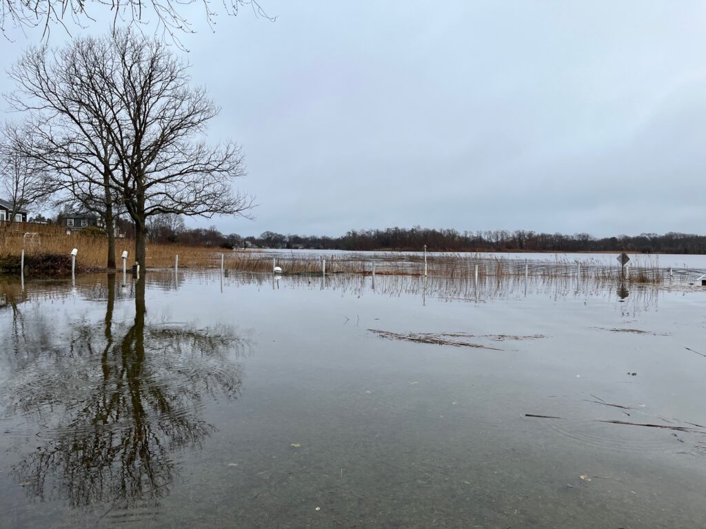 a frozen lake with trees and a fence (MyCoast AI)