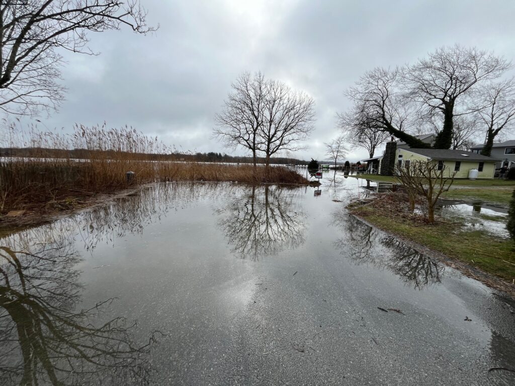 a flooded road with trees and houses (MyCoast AI)