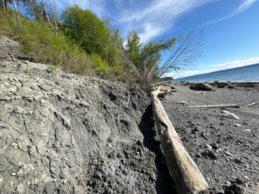 a rocky beach with a log (MyCoast AI)