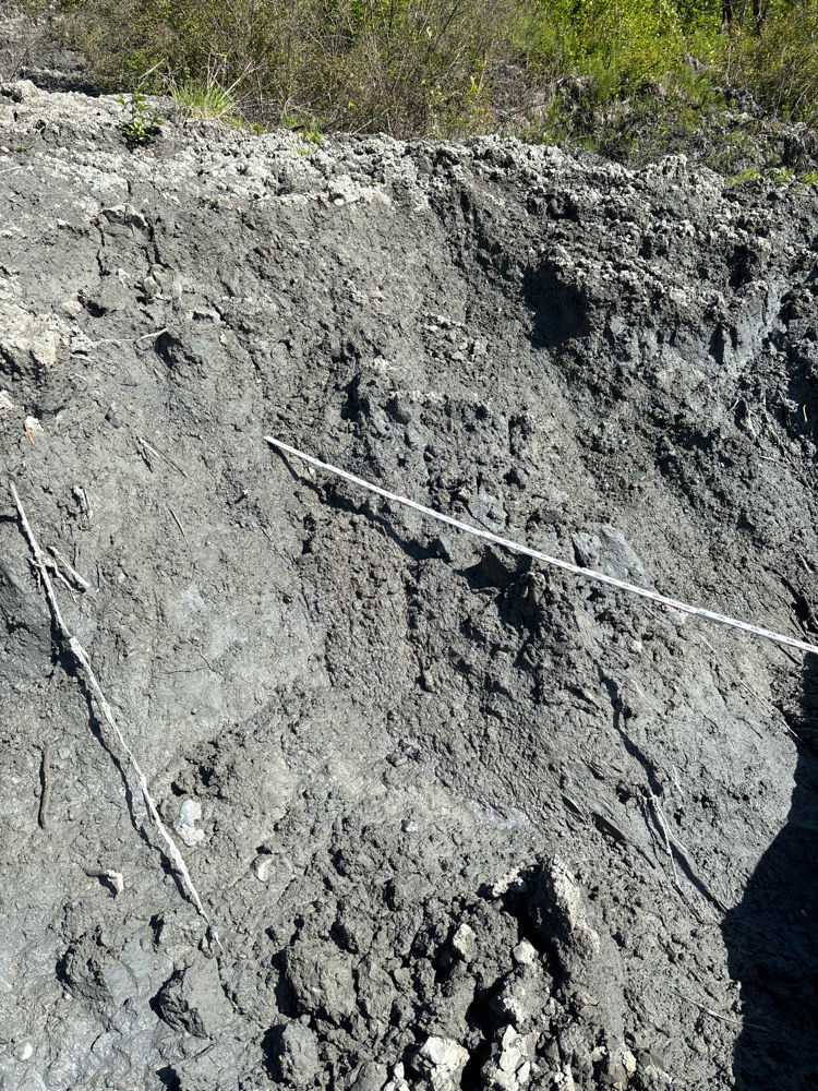 a rocky cliff with a road (MyCoast AI)