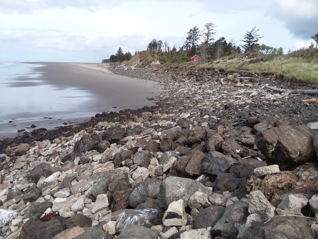 a rocky beach with trees and water (MyCoast AI)