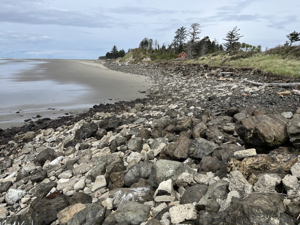 a rocky beach with a body of water in the background (MyCoast AI)