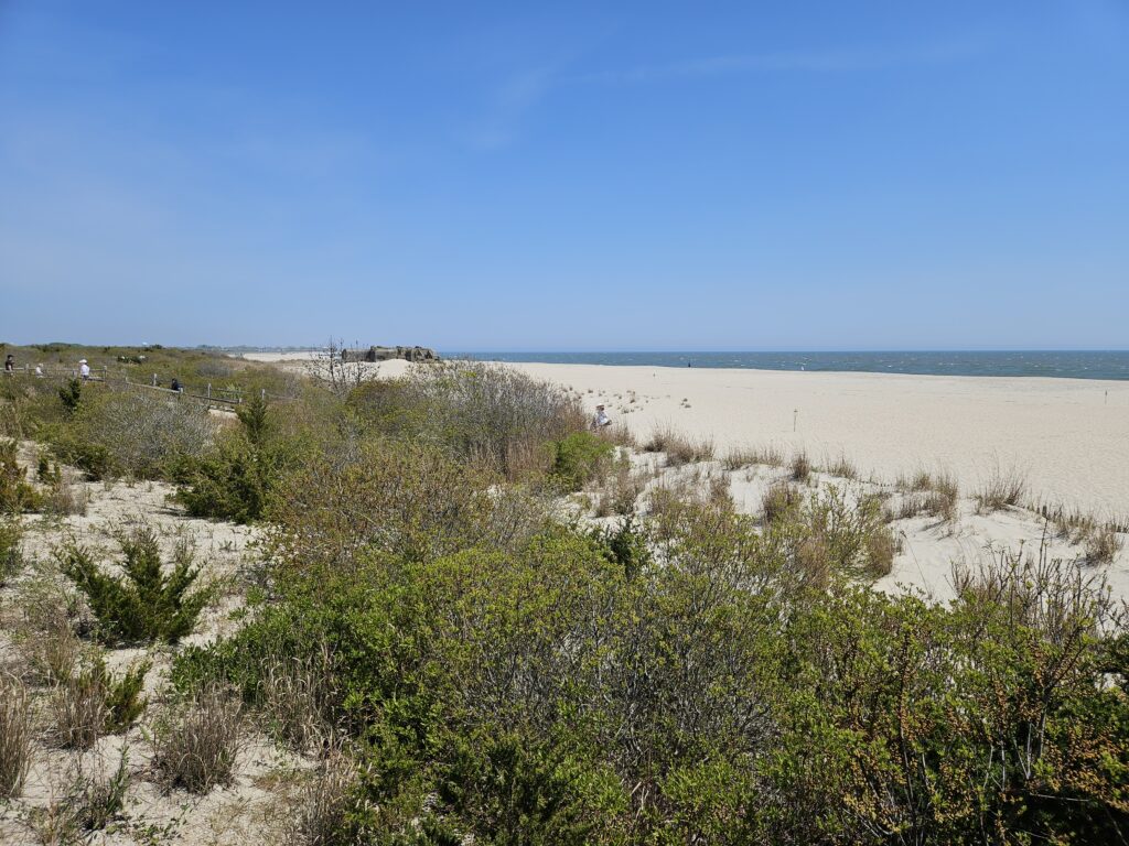 a sandy beach with bushes and trees (MyCoast AI)