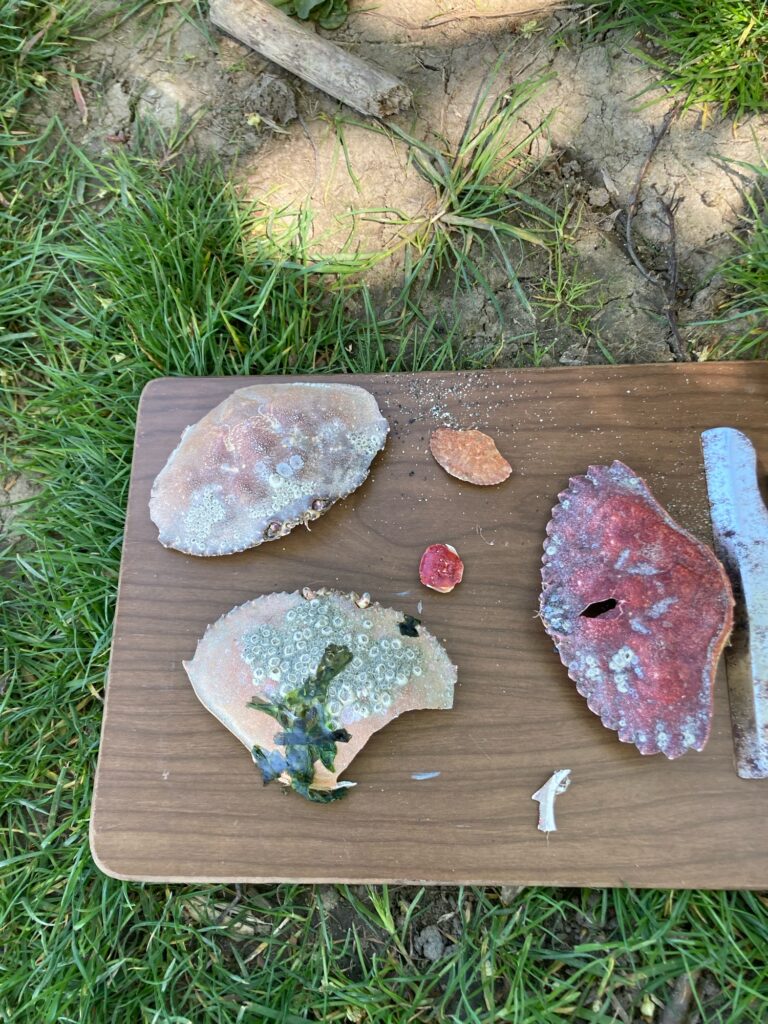 a wood board with food on it (MyCoast AI)