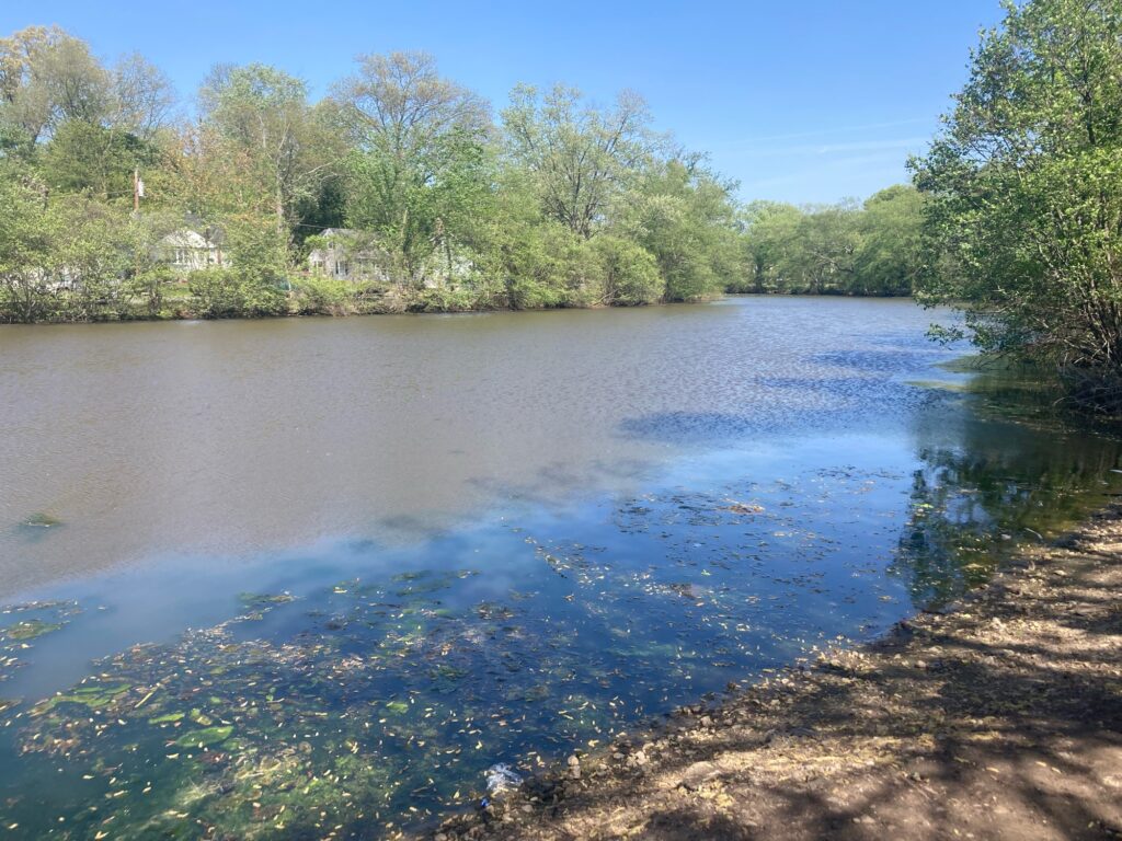 a body of water with trees around it (MyCoast AI)