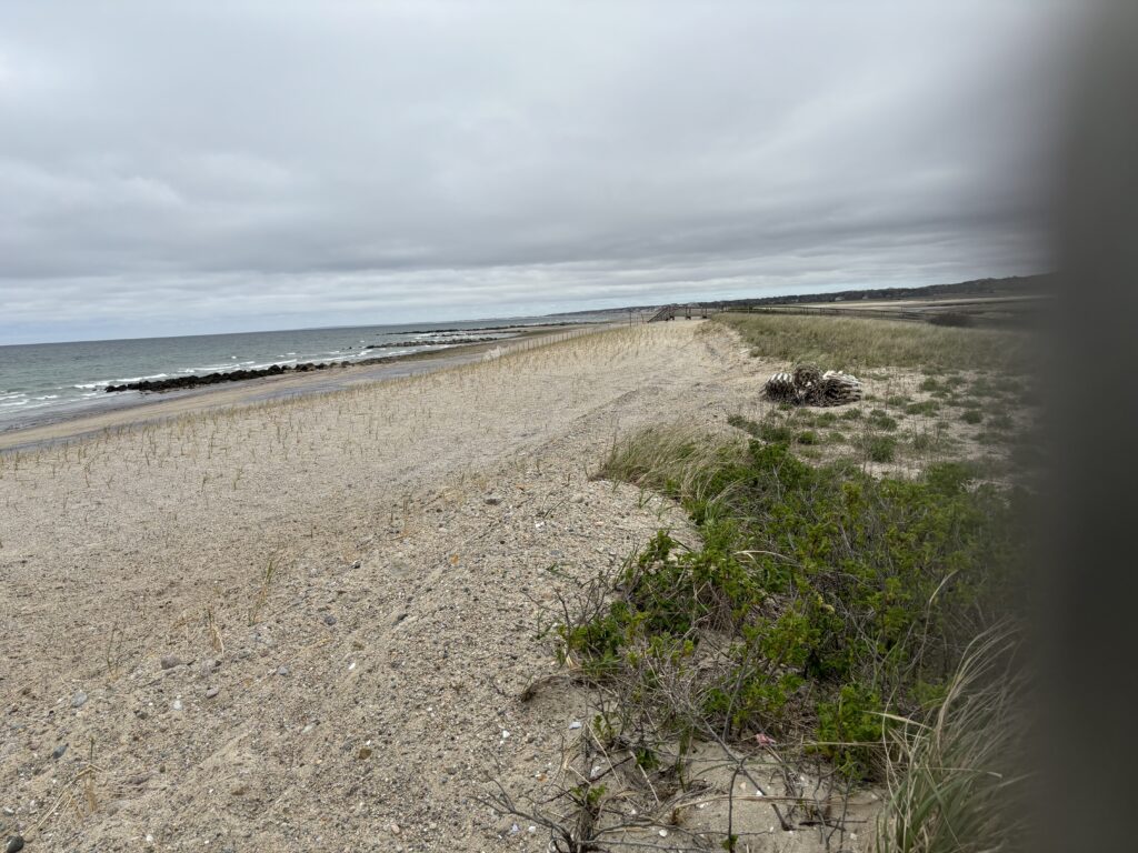 a sandy beach with bushes and water (MyCoast AI)
