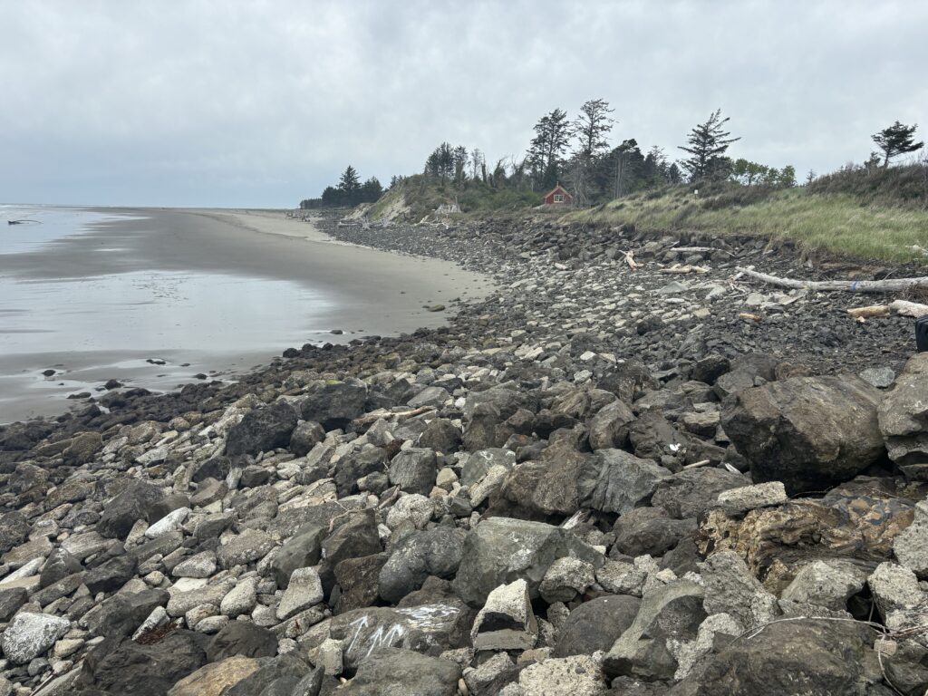 a rocky beach with trees and a hill in the background (MyCoast AI)