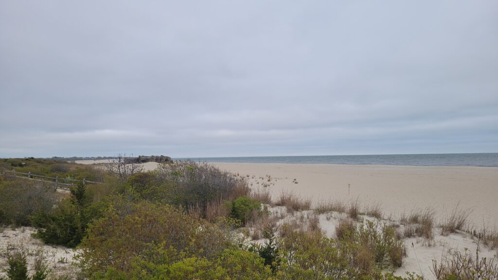 a sandy beach with bushes and trees (MyCoast AI)