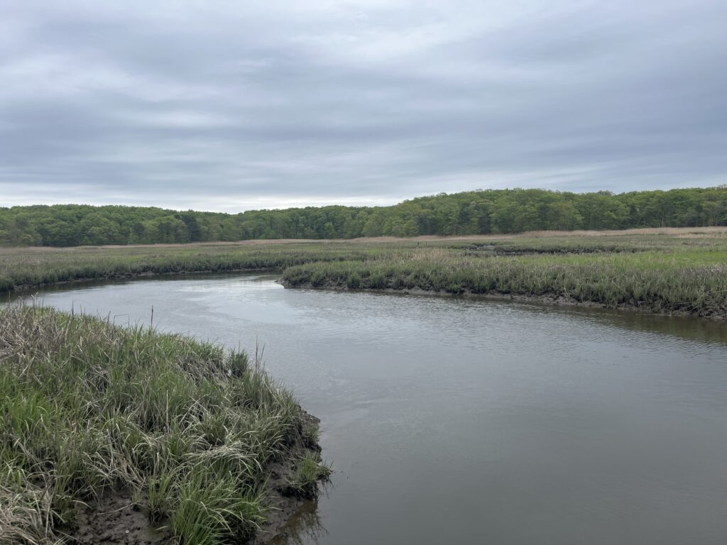 a body of water with grass and trees around it (MyCoast AI)
