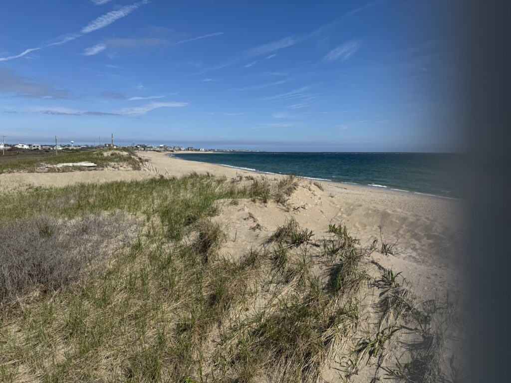 a sandy beach with grass and water (MyCoast AI)