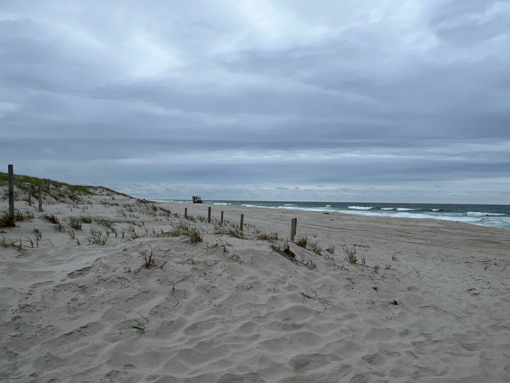 a sandy beach with a fence and a body of water in the background (MyCoast AI)