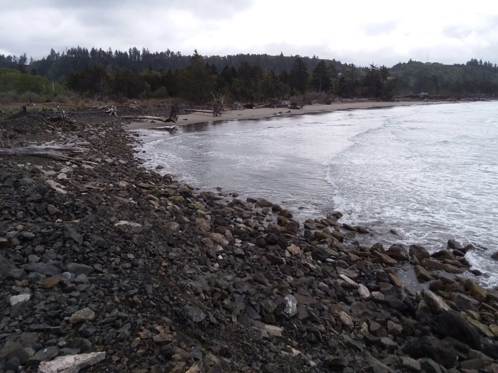 a rocky shore with a body of water and trees in the background (MyCoast AI)