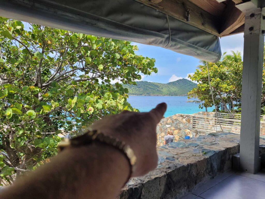 a dog looking out a window (MyCoast AI)