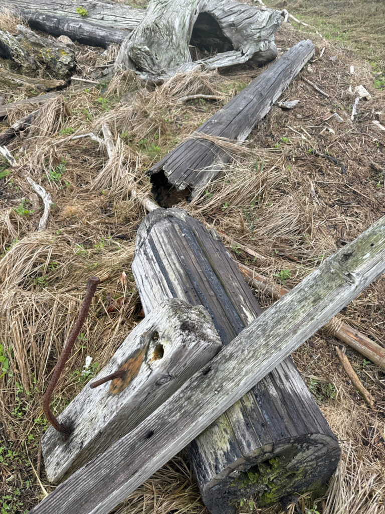a wood structure with a hole in it (MyCoast AI)