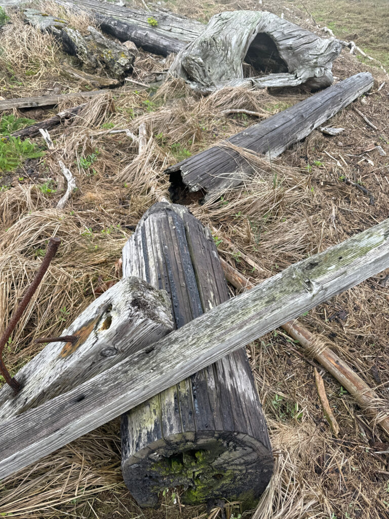 a group of logs and a log (MyCoast AI)