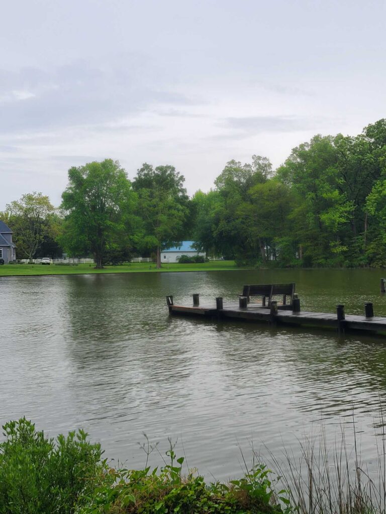 a dock on a lake (MyCoast AI)